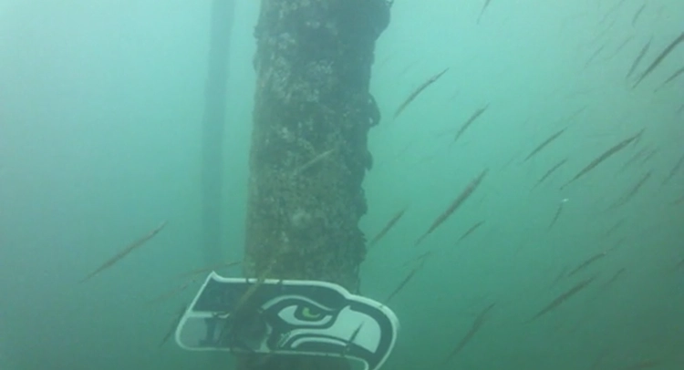 The 'server room' was a rack hidden behind a wall of fish tanks with a perpetual puddle of salt water on the floor.