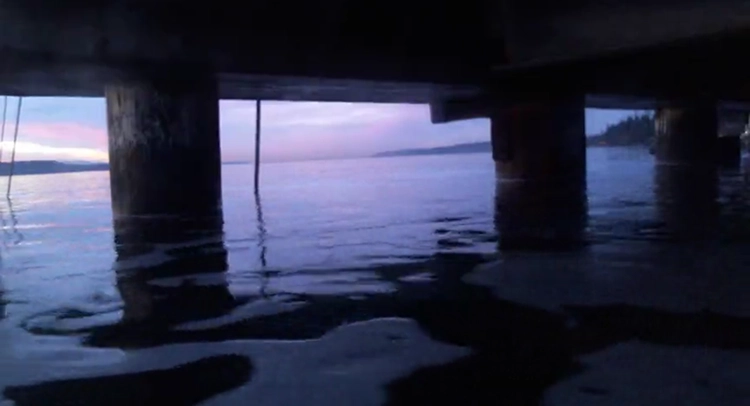 The Highline College MaST Center wanted a 24/7 underwater livestream of the happenings under their dock, at three different depths.