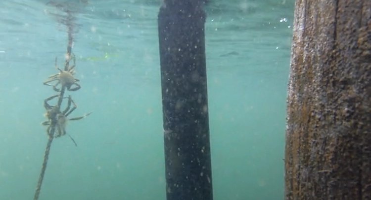 Their budget was essentially $0 so I used old equipment the college had slated for recycling.